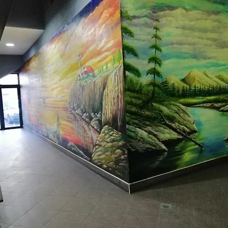 Prenociste Kod Cara- Kod Aerodroma